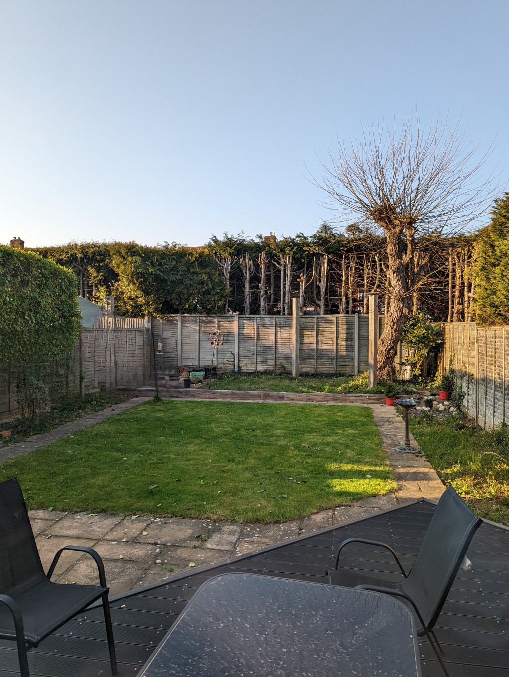 The garden is starting to look less of a mess. The table is messy since it got covered in sand from the saharan sand storm