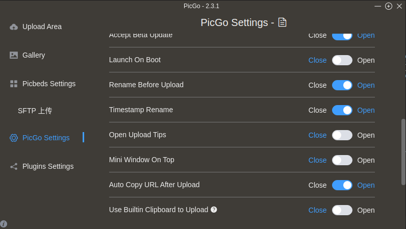 Settings pane showing rename before upload and timestamp rename options